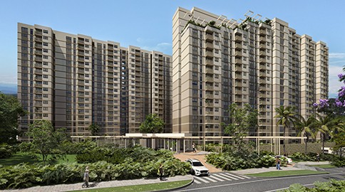 proyectamos y edificamos